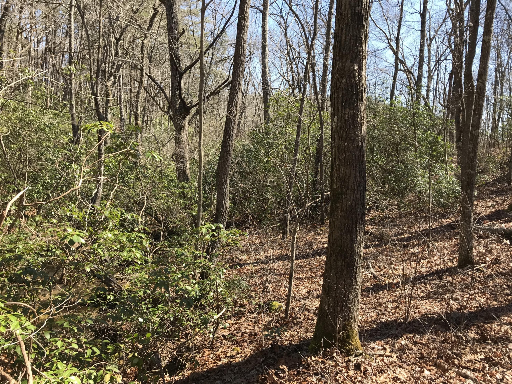 3 Deerhead Road Dunlap TN 37327