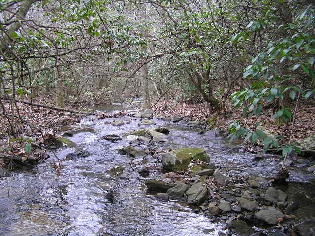 3 Deerhead Road Dunlap TN 37327