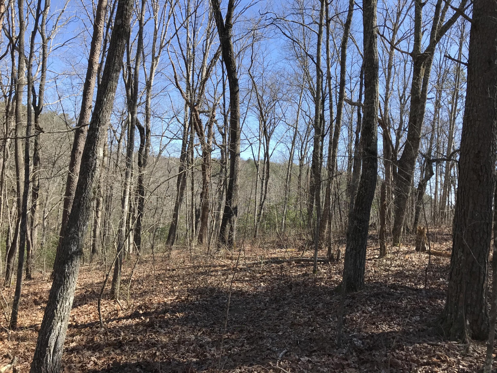 3 Deerhead Road Dunlap TN 37327