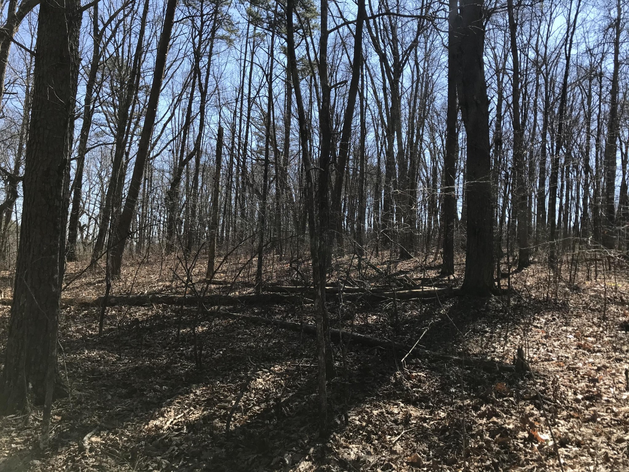 3 Deerhead Road Dunlap TN 37327
