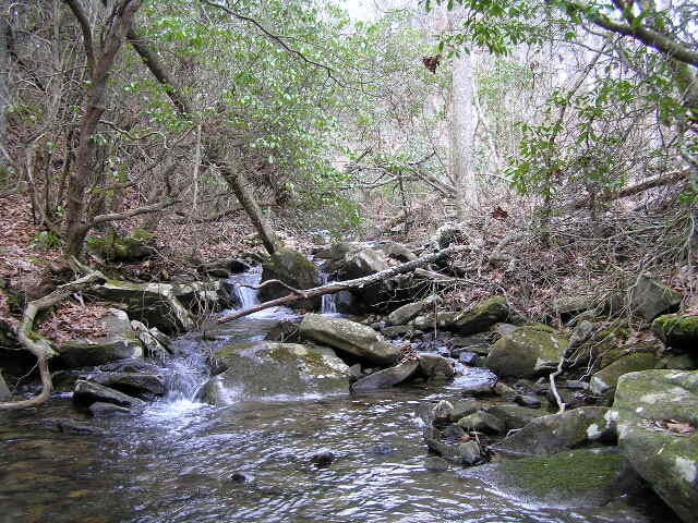 3 Deerhead Road Dunlap TN 37327