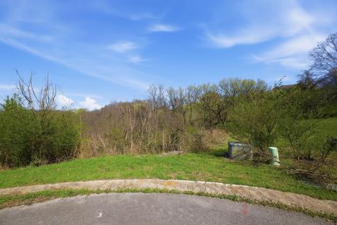 0 Deer Ridge Road Columbia TN 38401