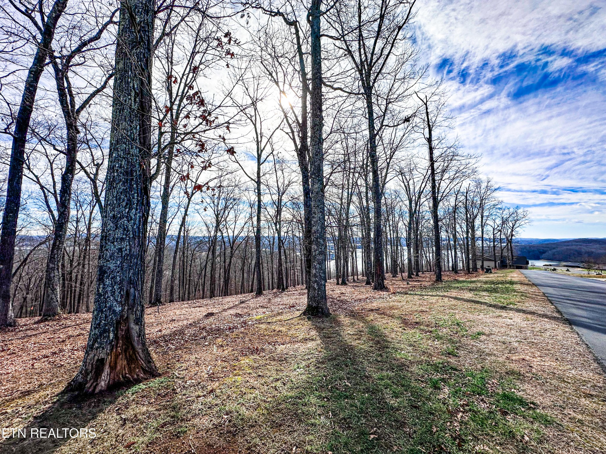 0 Grand Vista Drive Rockwood TN 37854