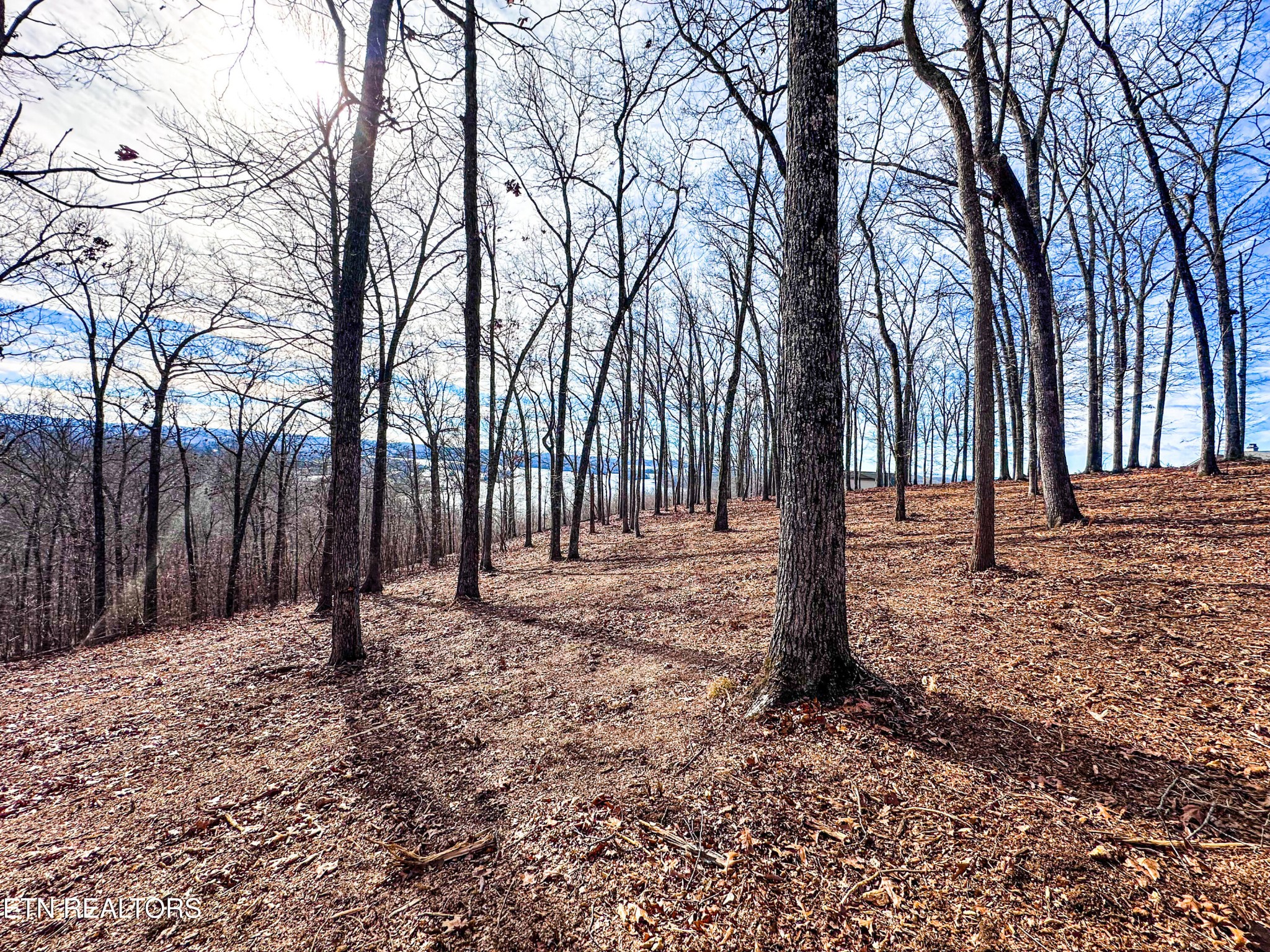 0 Grand Vista Drive Rockwood TN 37854