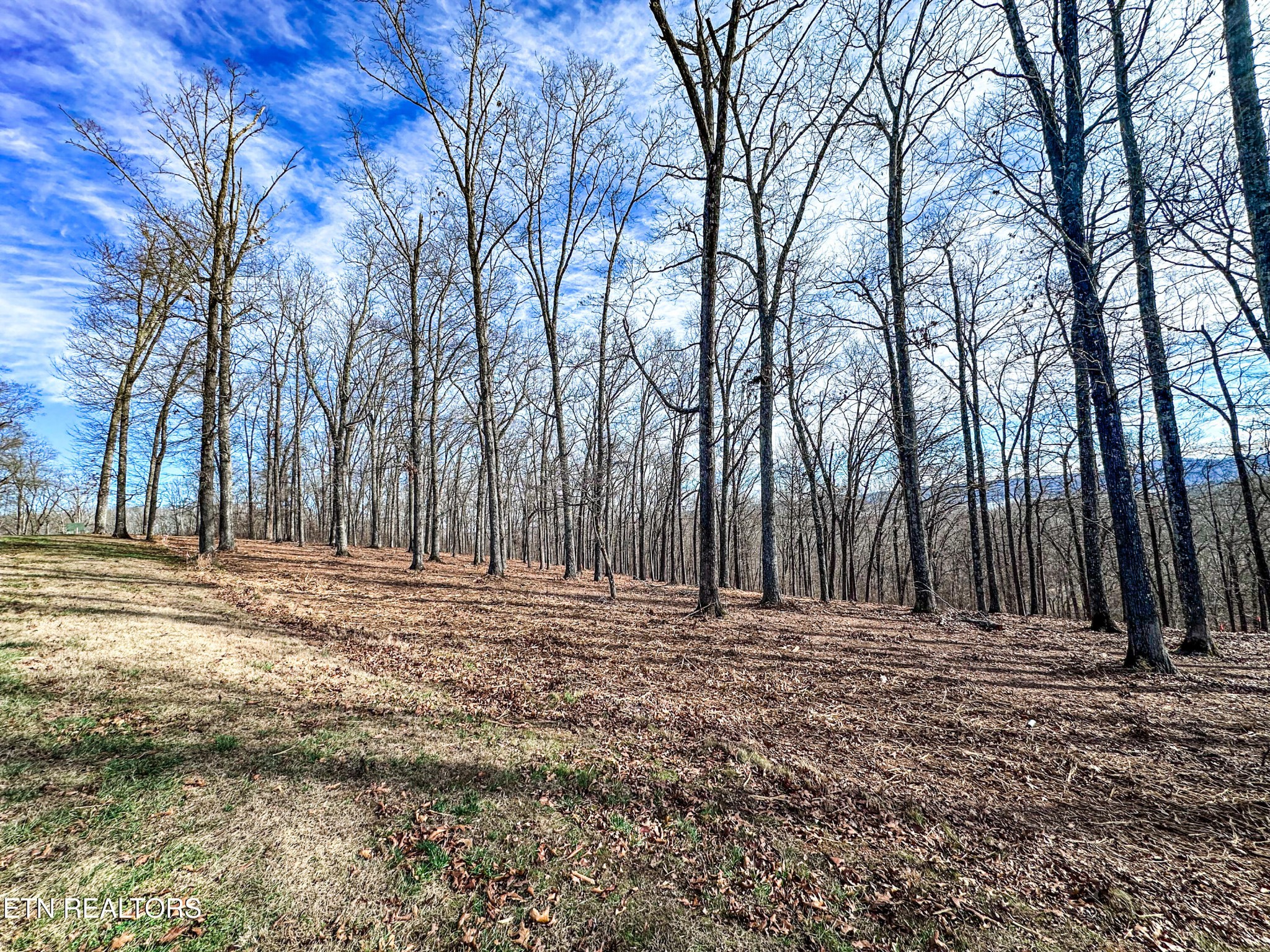 0 Grand Vista Drive Rockwood TN 37854