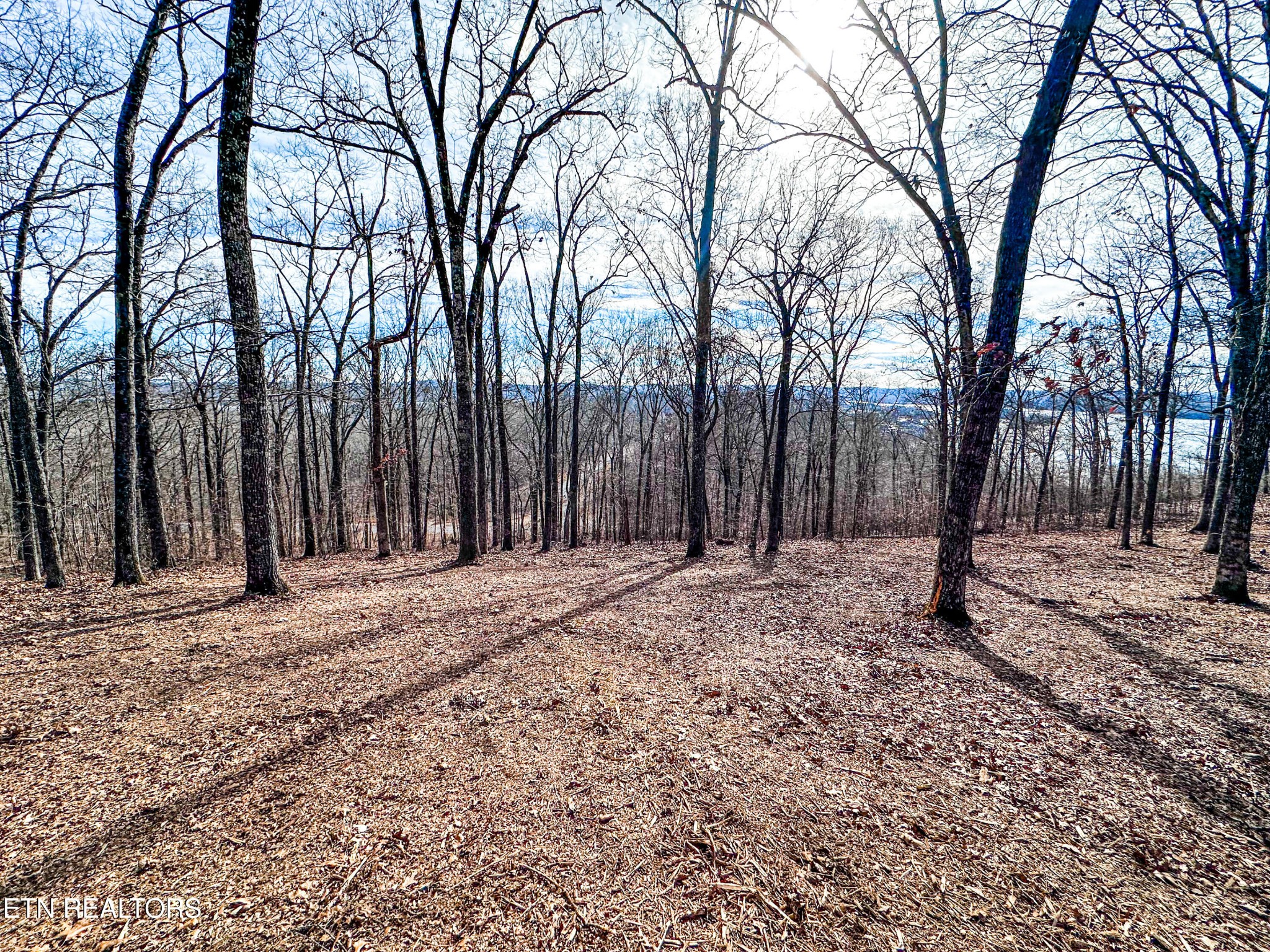 0 Grand Vista Drive Rockwood TN 37854