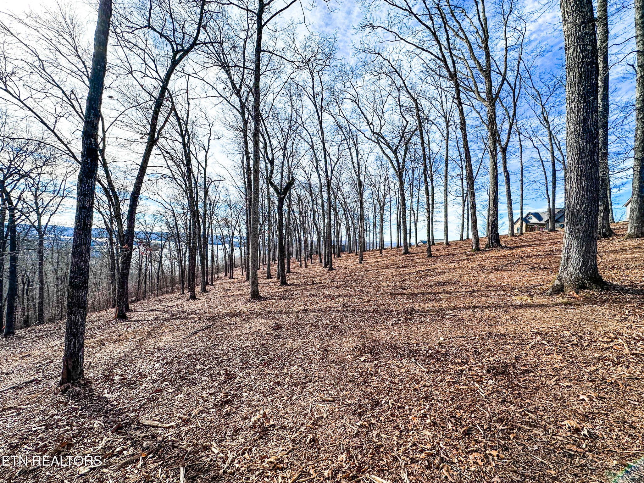 0 Grand Vista Drive Rockwood TN 37854
