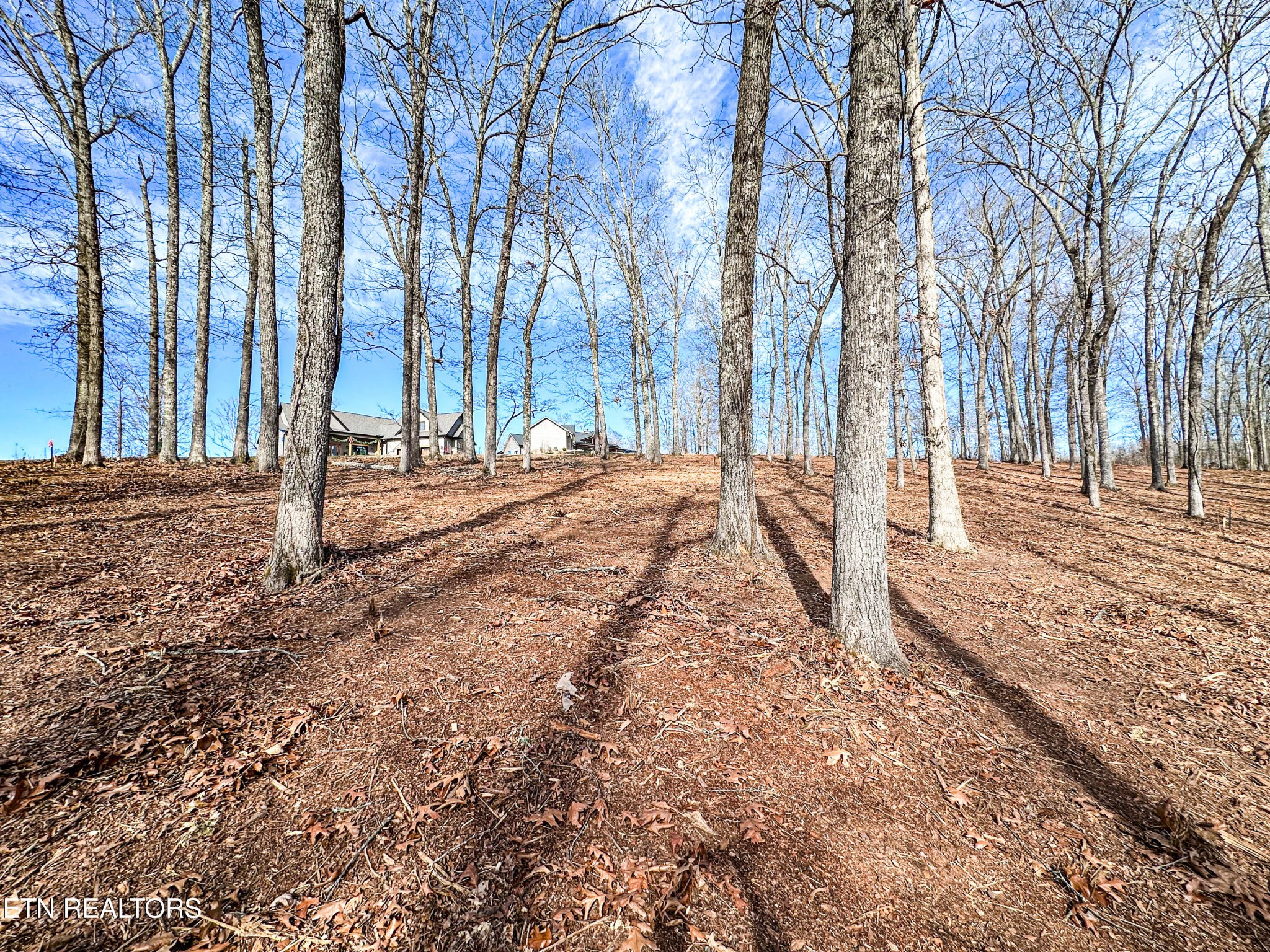 0 Grand Vista Drive Rockwood TN 37854