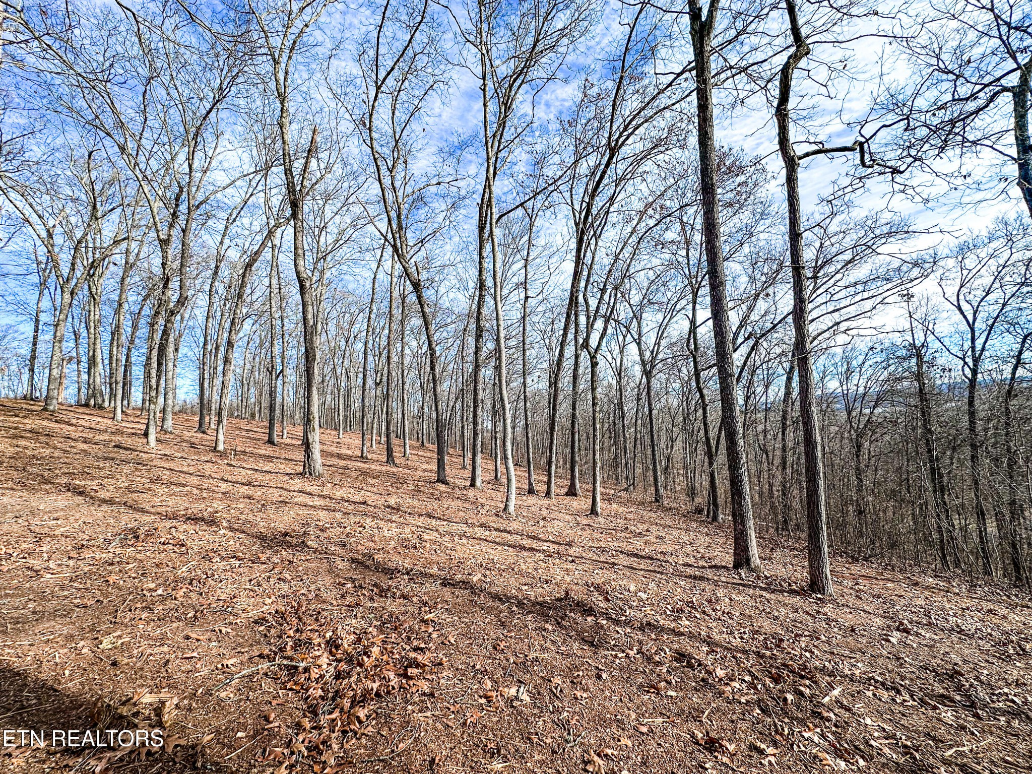 0 Grand Vista Drive Rockwood TN 37854