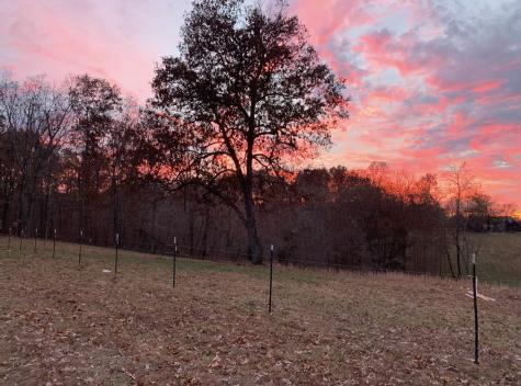 3395 Shouse Road Santa Fe TN 38482