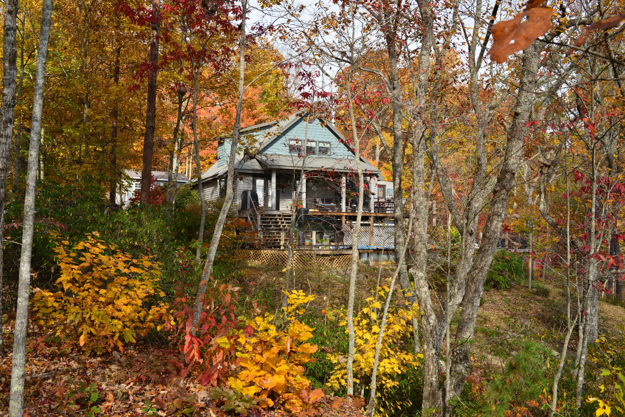 1136 Parkstown Extension Wilder TN 38589