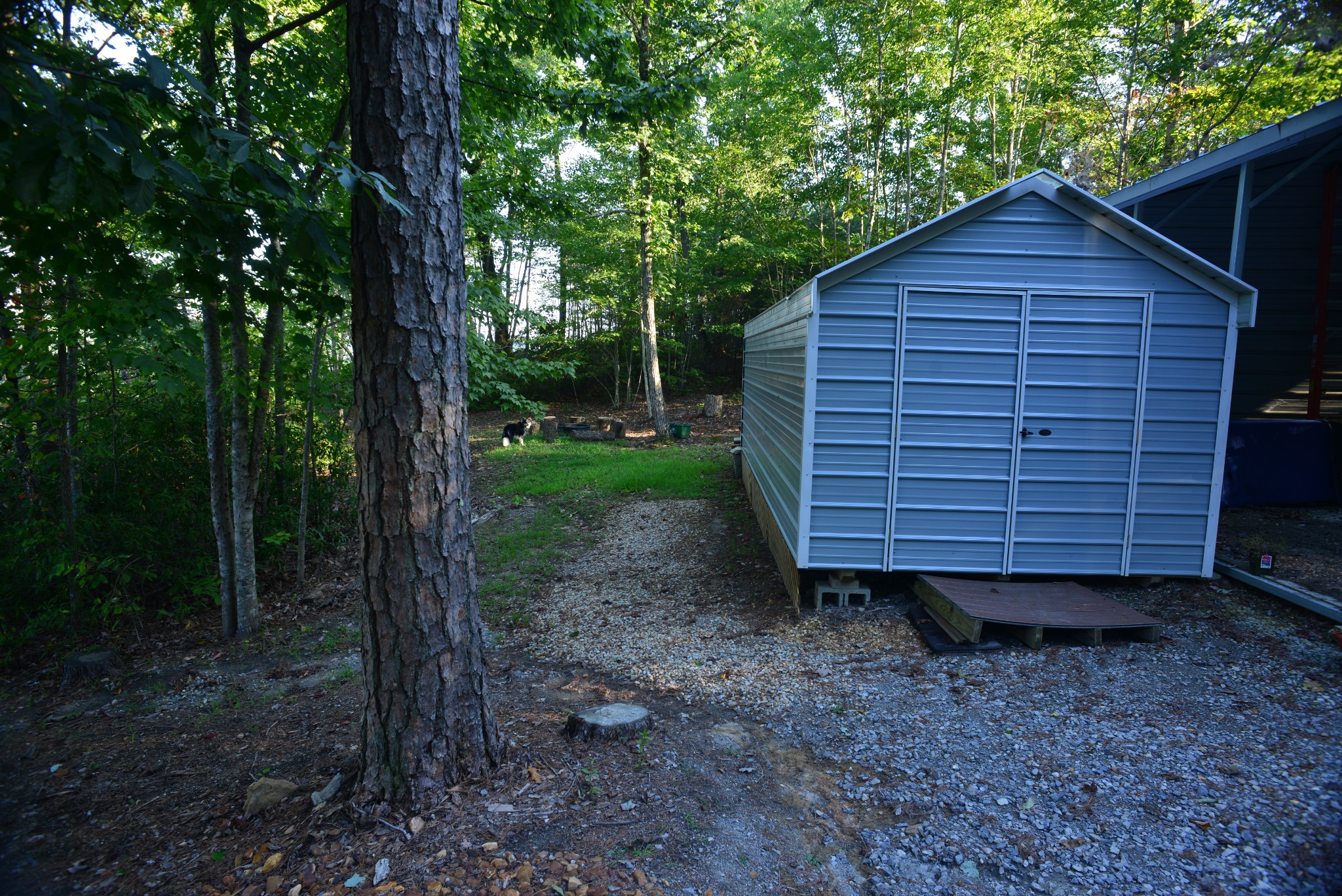 1136 Parkstown Extension Wilder TN 38589