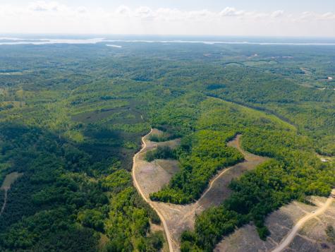 0 Cox Hollow Dover TN 37058