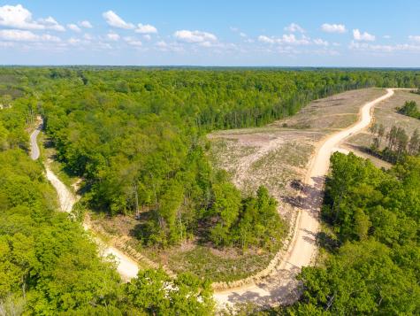 0 Cox Hollow Dover TN 37058