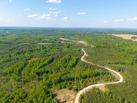 0 Cox Hollow Dover TN 37058
