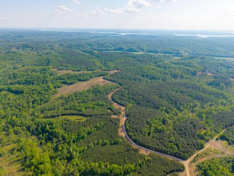 0 Cox Hollow Dover TN 37058