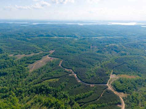 0 Cox Hollow Dover TN 37058