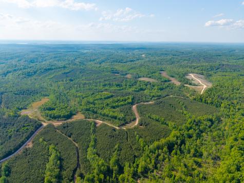 0 Cox Hollow Dover TN 37058