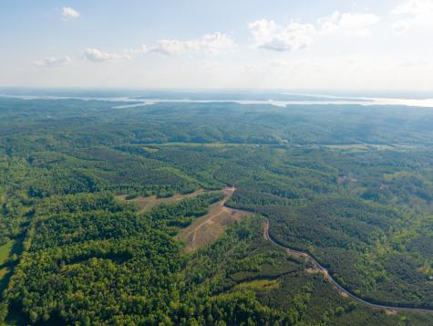 0 Cox Hollow Dover TN 37058