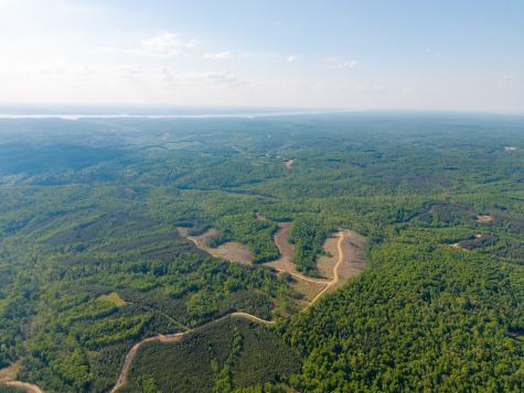 0 Cox Hollow Dover TN 37058
