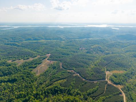0 Cox Hollow Dover TN 37058