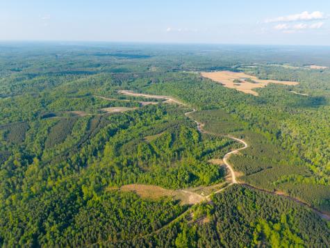 0 Cox Hollow Dover TN 37058