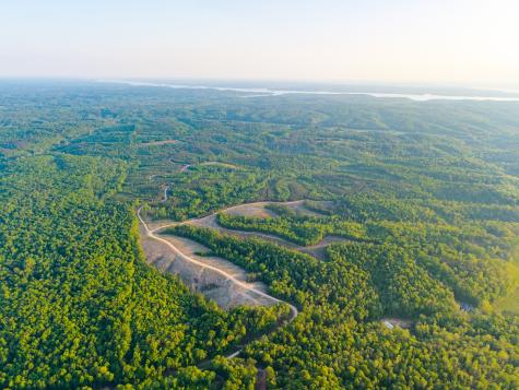 0 Cox Hollow Dover TN 37058