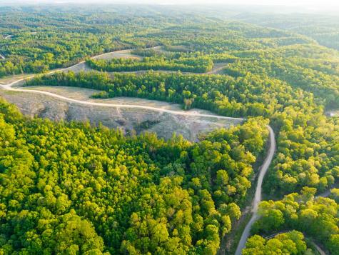 0 Cox Hollow Dover TN 37058
