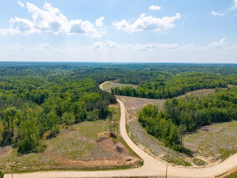 0 Cox Hollow Dover TN 37058