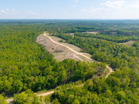 0 Cox Hollow Dover TN 37058