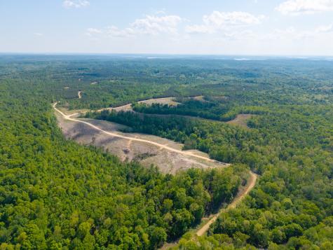 0 Cox Hollow Dover TN 37058