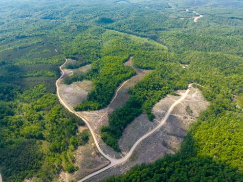 0 Cox Hollow Dover TN 37058
