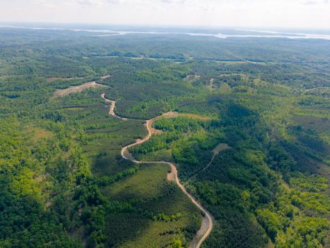 0 Cox Hollow Dover TN 37058