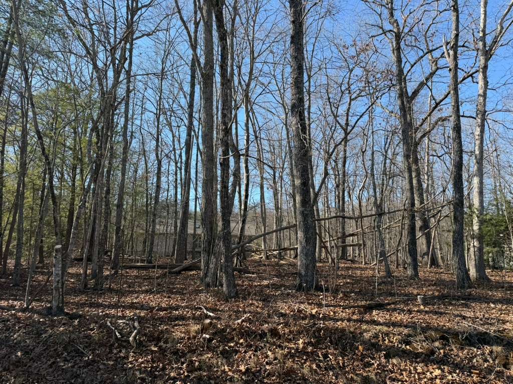 153 Sugarbush Circle Crossville TN 38558