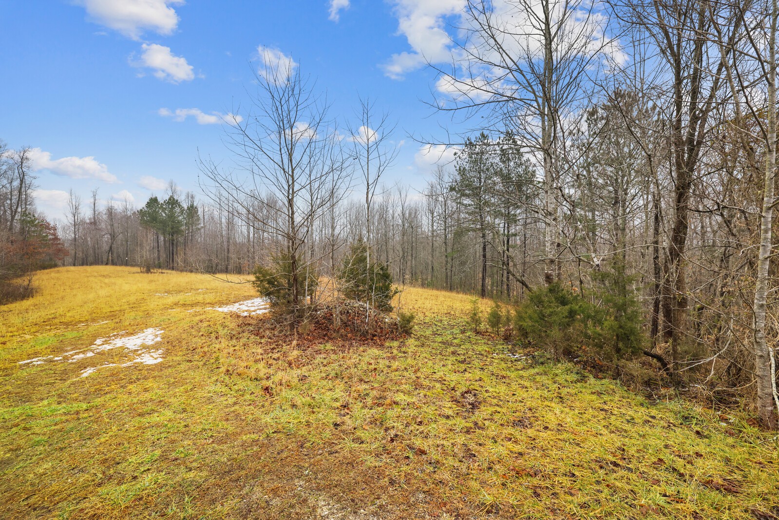 0 Holly Bend Drive Byrdstown TN 38549