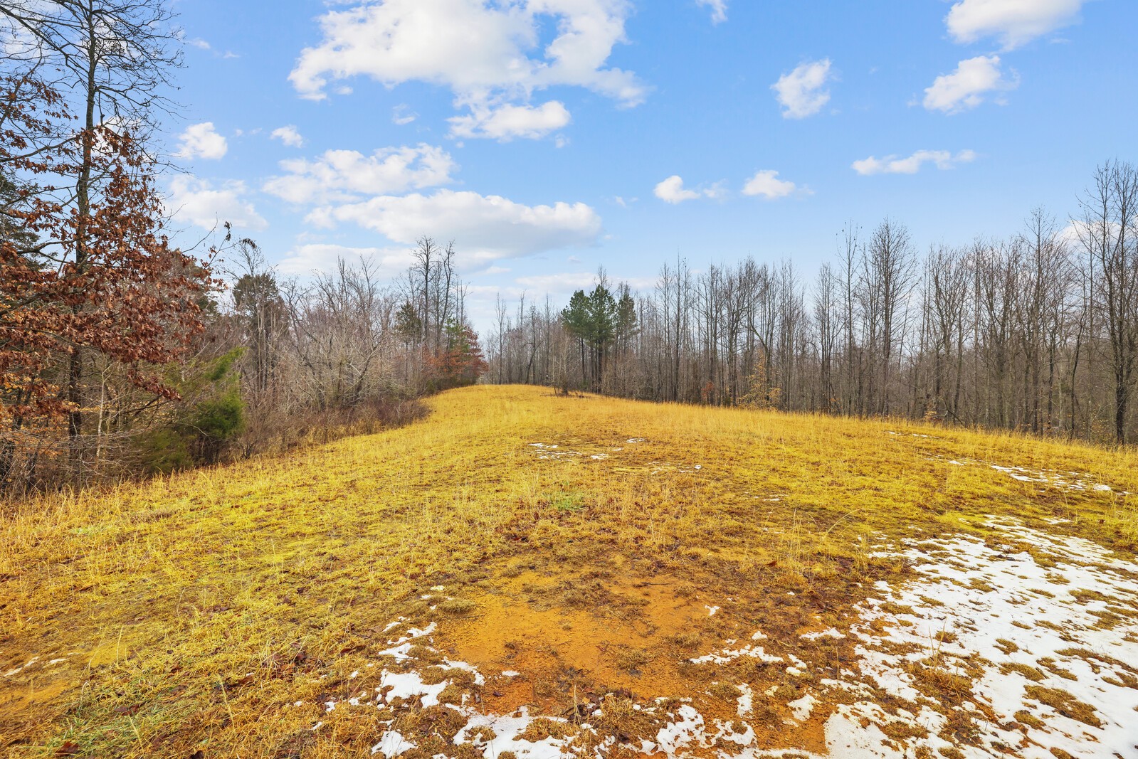 0 Holly Bend Drive Byrdstown TN 38549