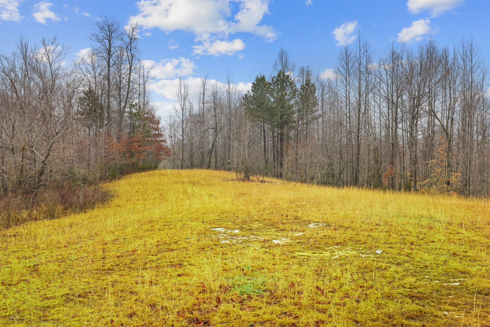 0 Holly Bend Drive Byrdstown TN 38549