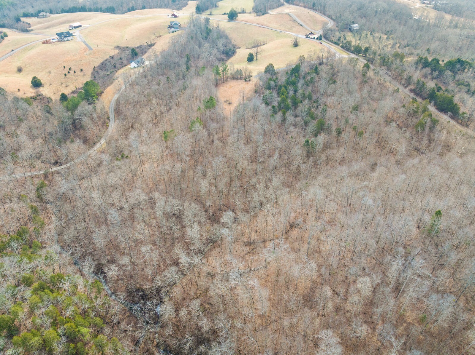 0 Holly Bend Drive Byrdstown TN 38549