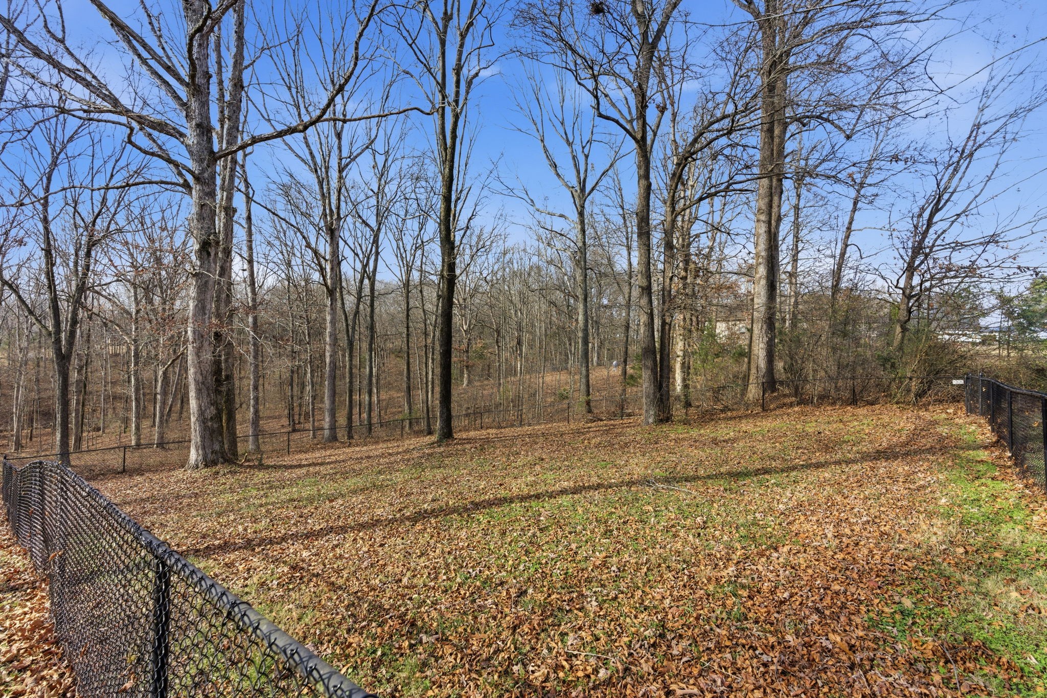 1014 Alameda Drive Portland TN 37148