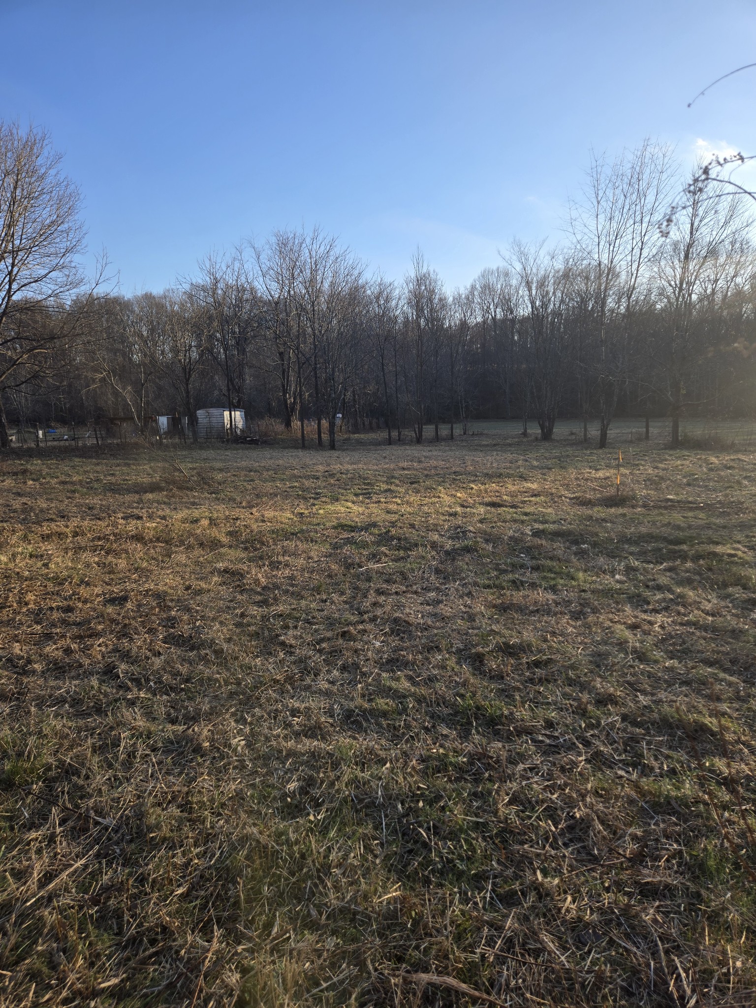 256 Buck Perry Road Bethpage TN 37022