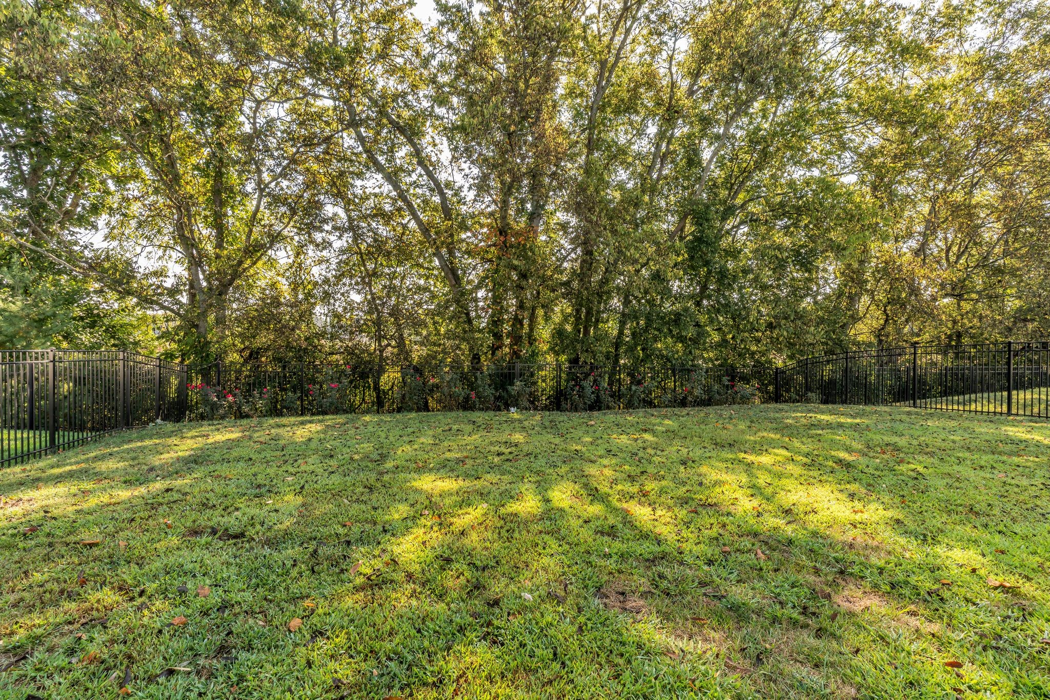 918 Plowson Road Mount Juliet TN 37122