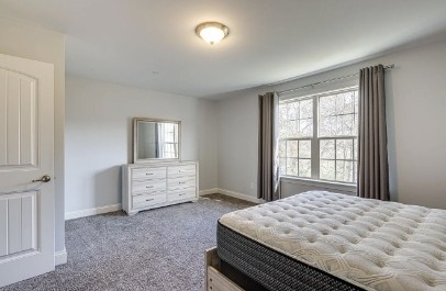 1003 Irish Way Spring Hill TN 37174