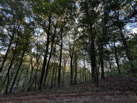 6604 Declaration Drive Hixson TN 37343