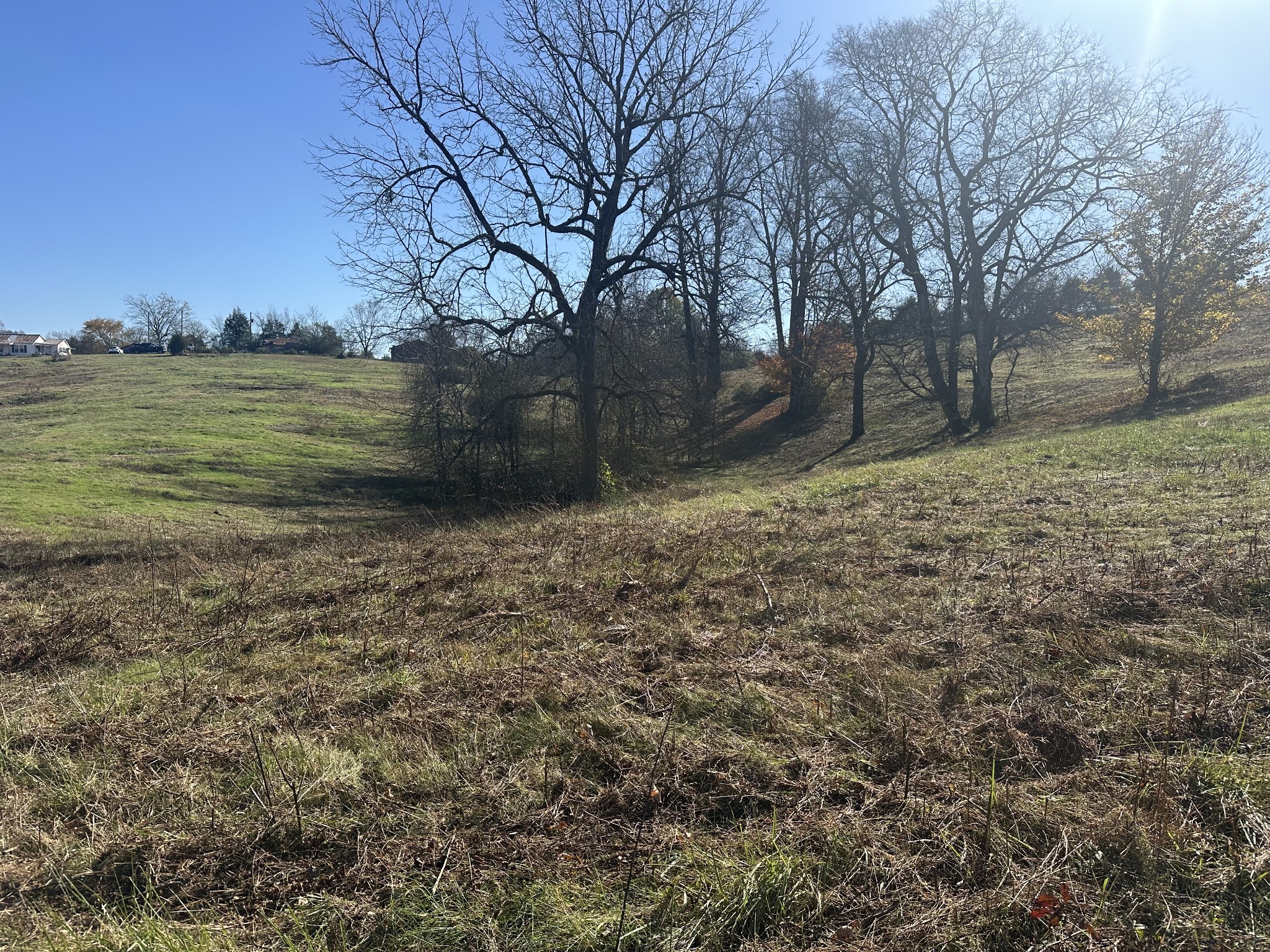 0 Mcclures Bend Lane Carthage TN 37030