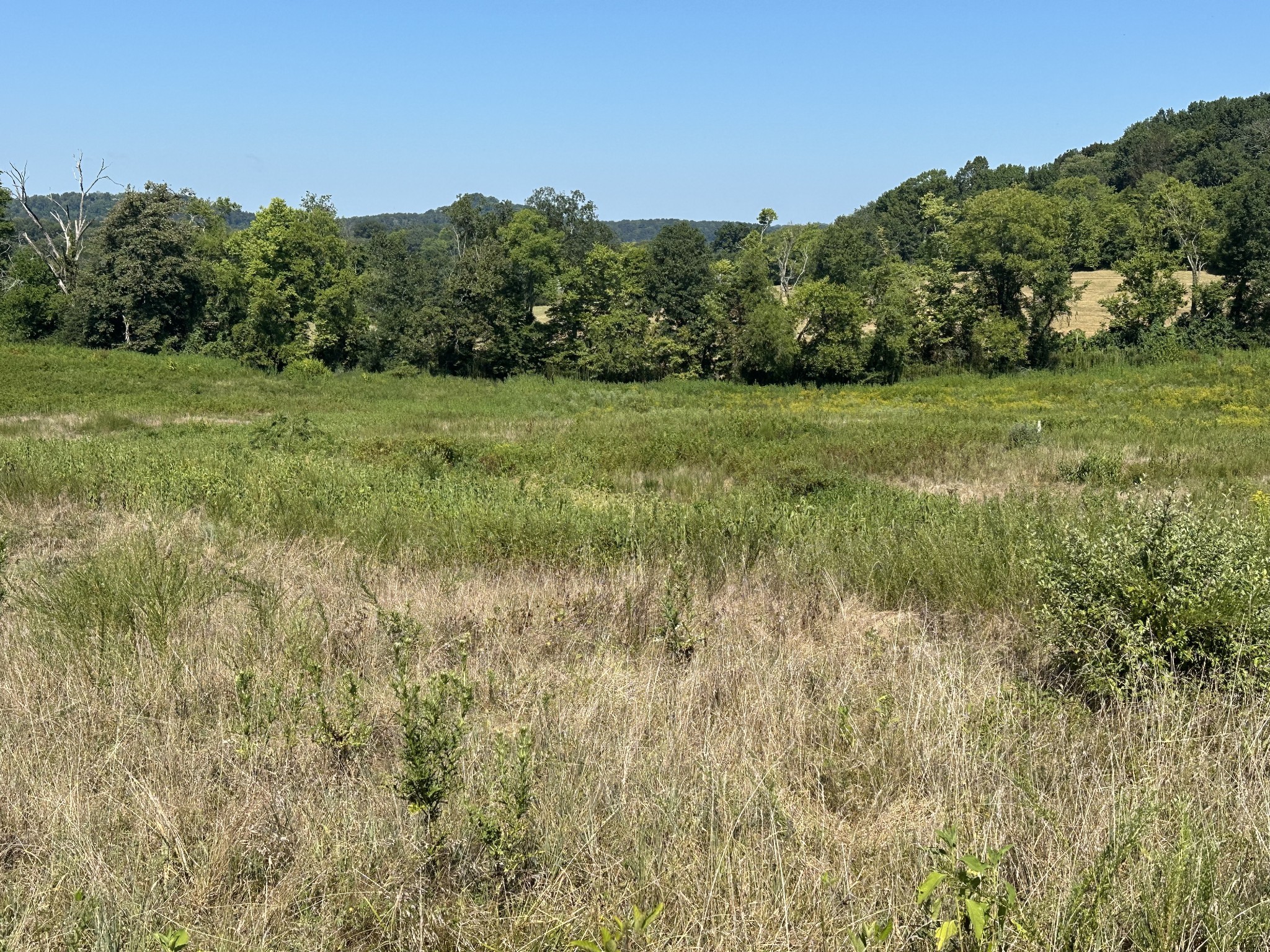 0 Mcclures Bend Lane Carthage TN 37030