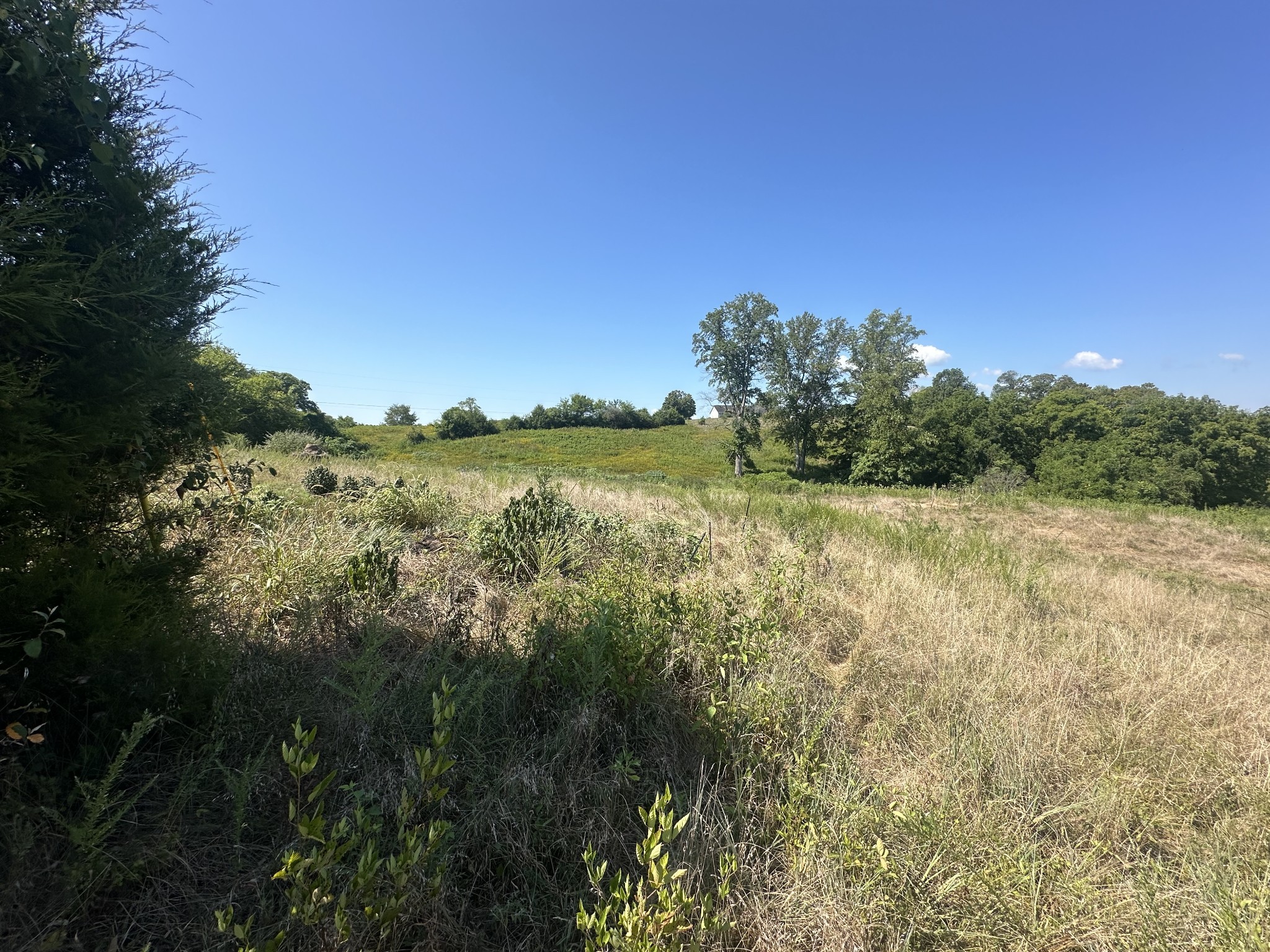 0 Mcclures Bend Lane Carthage TN 37030