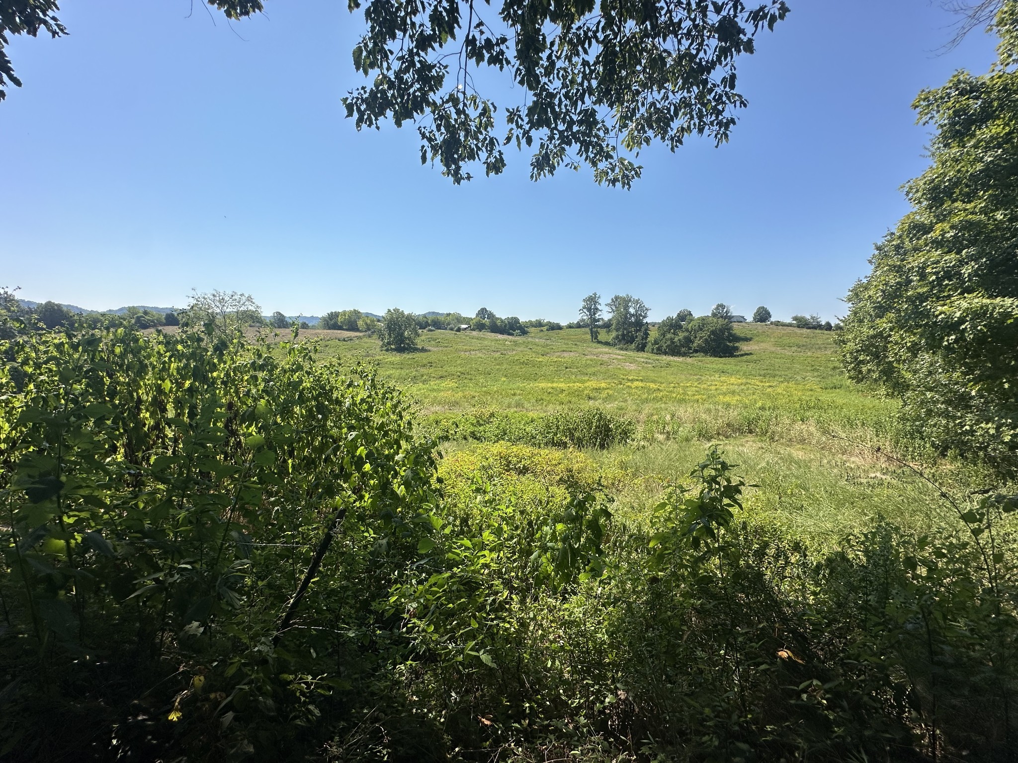 0 Mcclures Bend Lane Carthage TN 37030