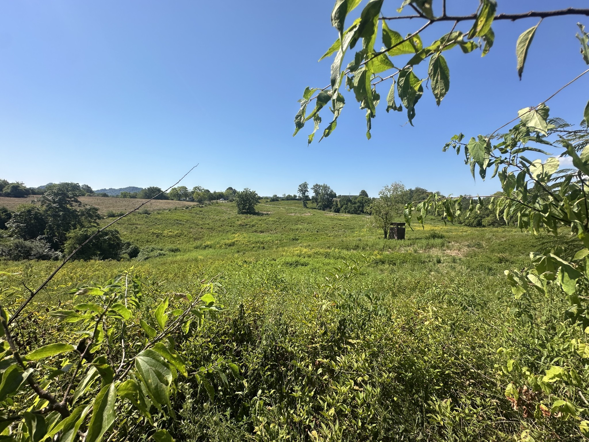 0 Mcclures Bend Lane Carthage TN 37030