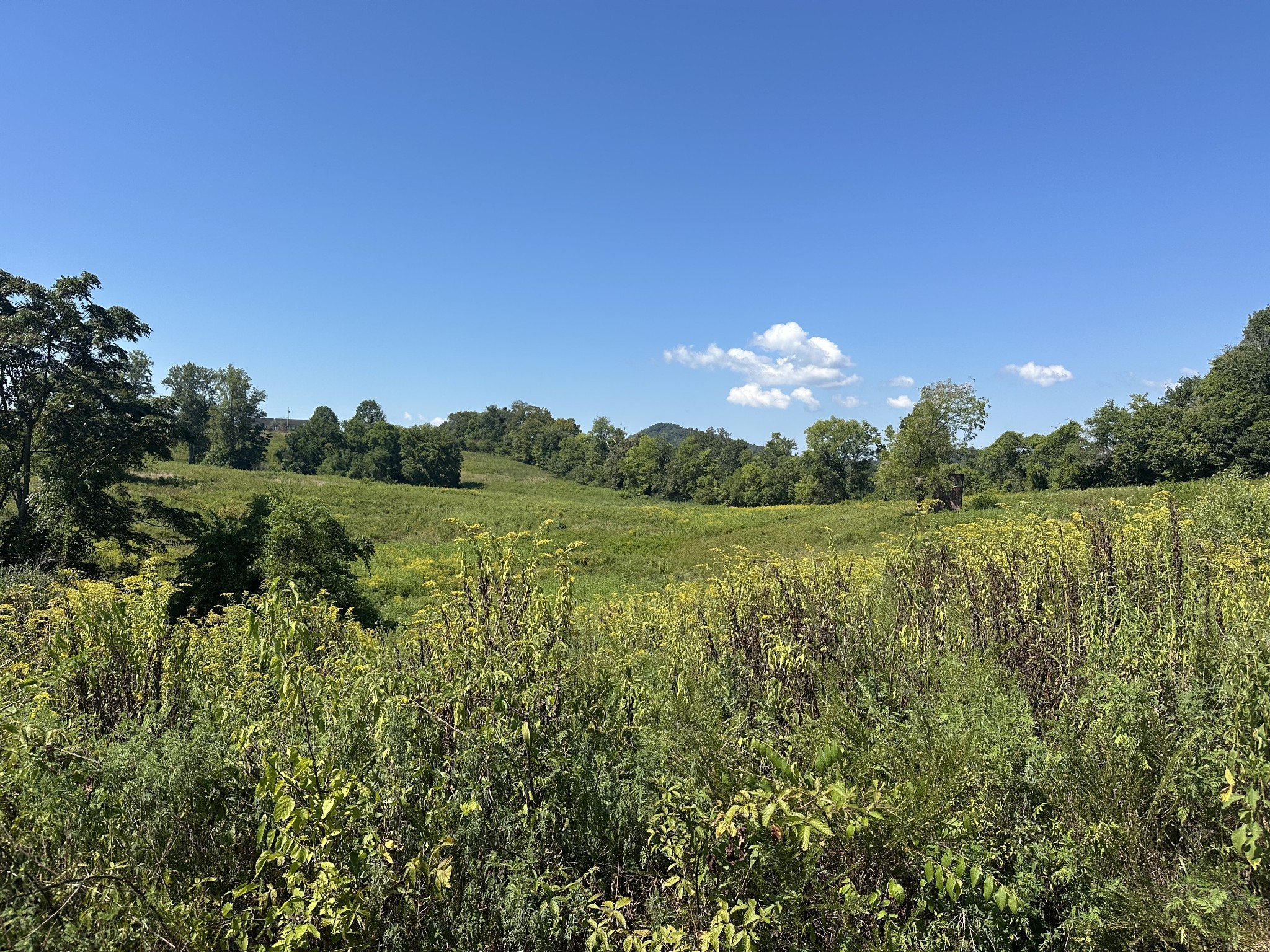 0 Mcclures Bend Lane Carthage TN 37030