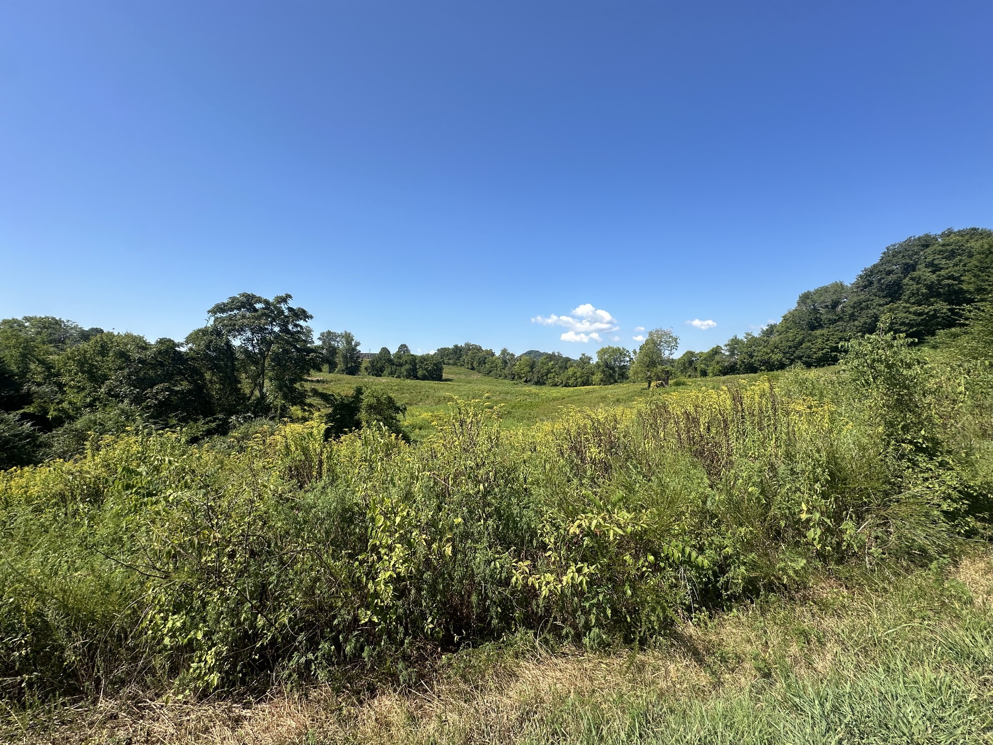0 Mcclures Bend Lane Carthage TN 37030